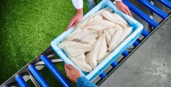 NIVERPLAST MEAT FISH 02 verkleind