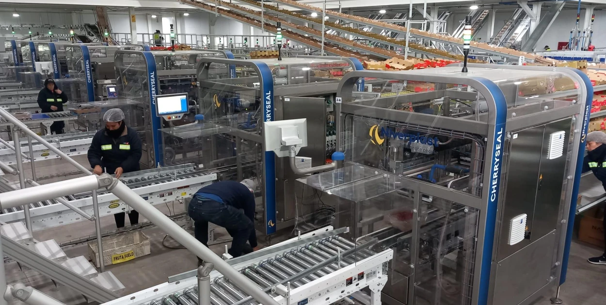 CherrySeal | Imballaggio per ciliegie | Niverplast