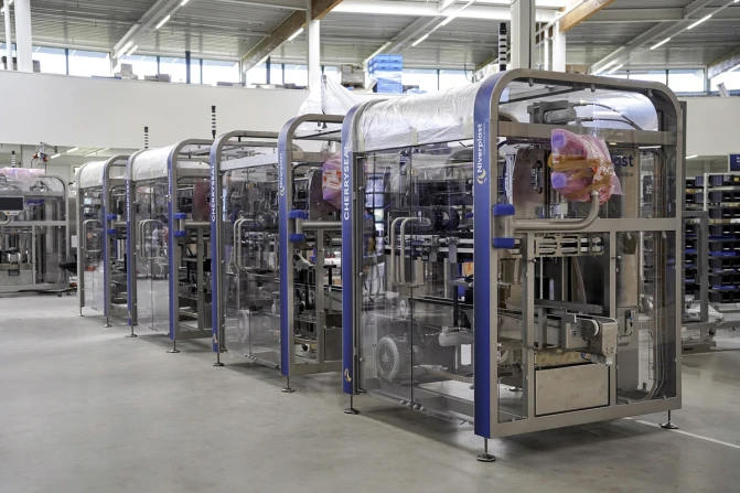 Confezionamento automatico delle ciliegie | CherrySeal | Niverplast